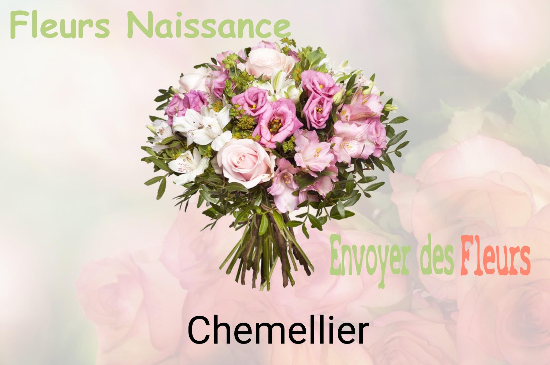 Bouquet de fleurs de naissance livré à Chemellier