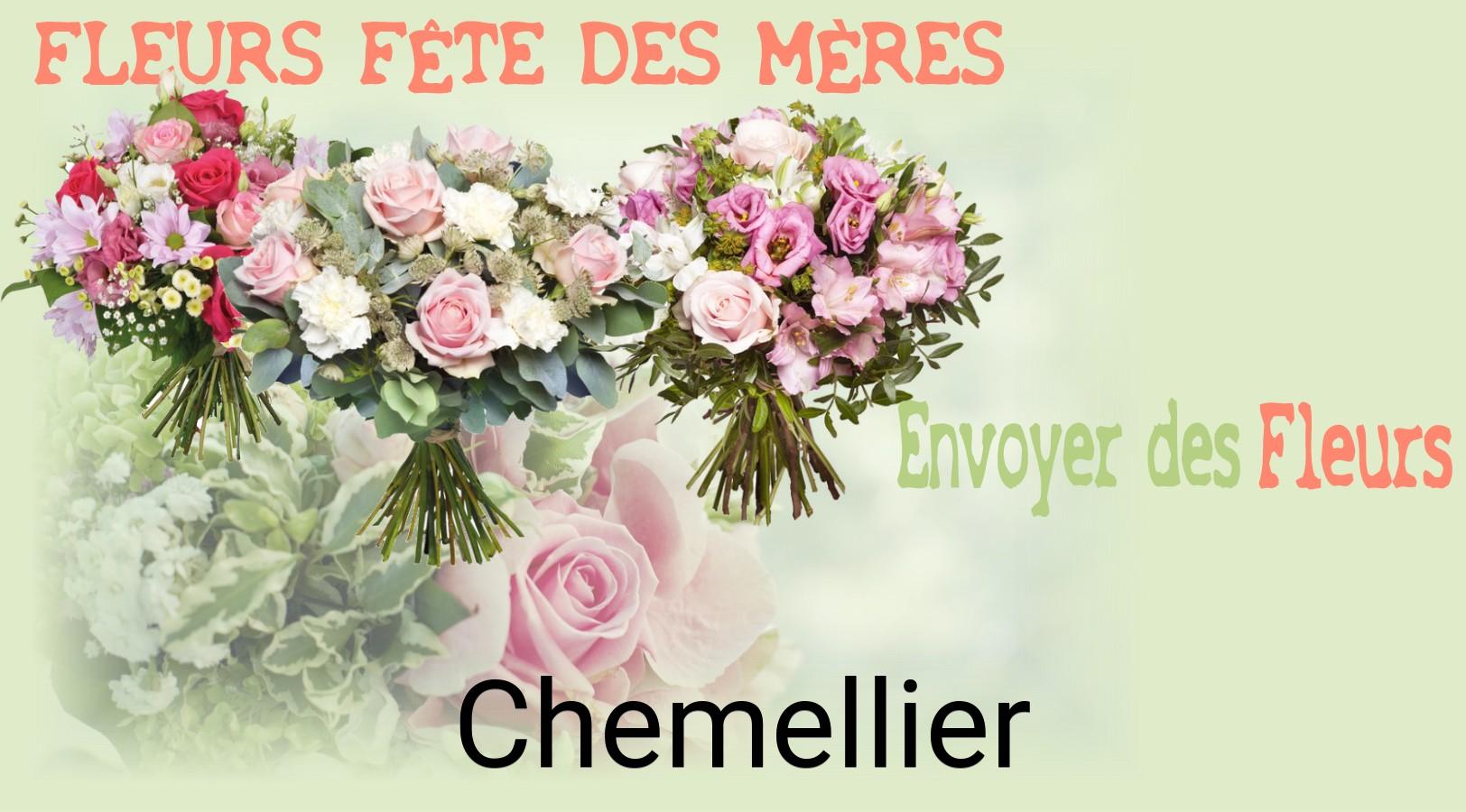 Bouquet de Fête des Mères livré à Chemellier